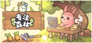 专注森林
